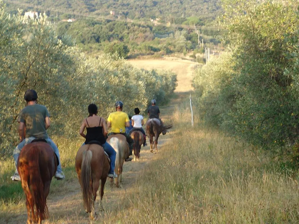 Agriturismo Eco-Bio Belmonte Vacanze Montaione 0*,  Italy